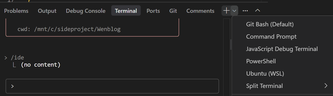 Ubuntu WSL 建議